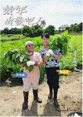 脱口秀 综艺海报